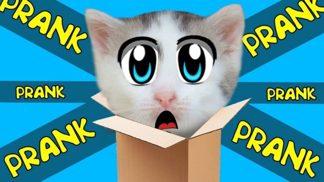НОВЫЕ ПРИКОЛЫ С КОТАМИ! 5 Пранков для животных! кот Малыш и Мурка РАЗЫГРАНЫ | А ну-ка давай-ка
