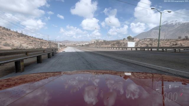 Forza cruise
