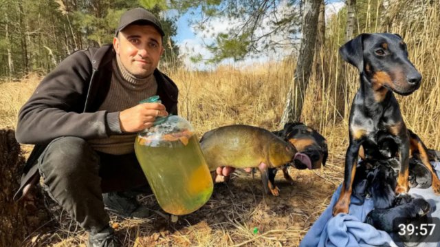 Марта родила 7 щенков. Квас из березового сока.  поставил сеть,  проверяю пруд.