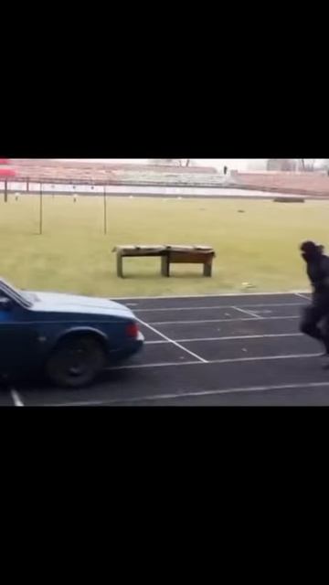 читар