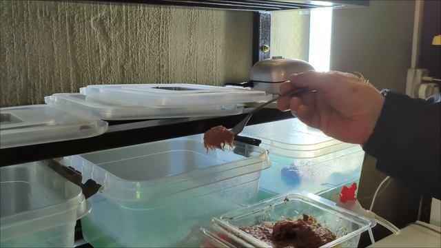 Трубочник на развод..