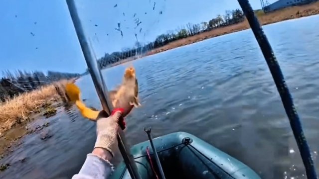 Дикая рыбалка на ПАУК подъёмник 🐠🐋🐟