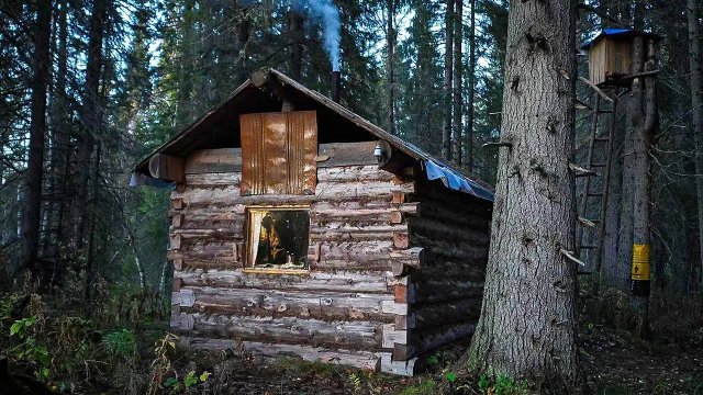 УШЁЛ НА ОХОТУ С СОБАКОЙ С НОЧЕВКОЙ В ИЗБЕ. ПЛАН ПО РЯБЧИКУ ВЫПОЛНЕН.