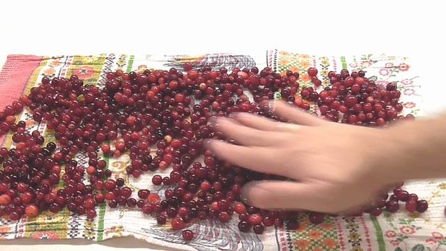 Морс из клюквы. Без варки