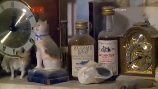 Помешанные на чистоте Спасение особняков 1 выпуск