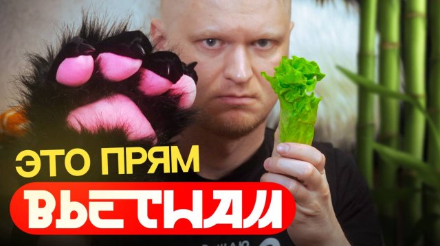 Сколько должен стоить фо-бо? Мадам Ви. Славный Обзор