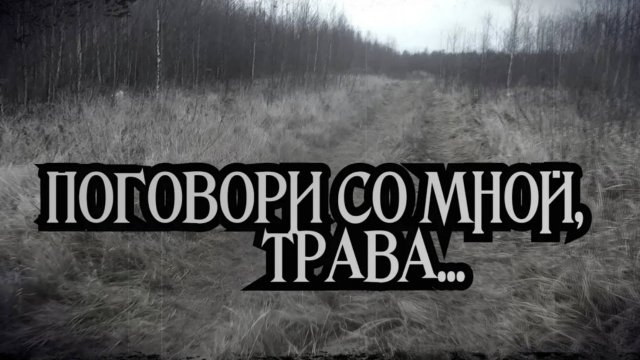 Поговори со мной трава...
