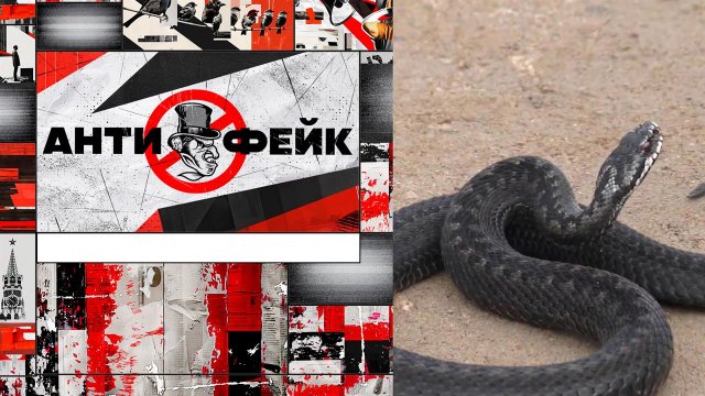 АнтиФейк. Выпуск от 16.04.2025