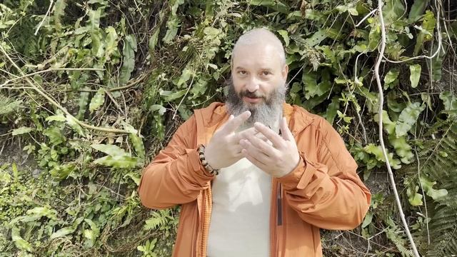 Всё о кожице мухоморов. Свойства, применение. Песок в пантерном мухоморе. Михаил Вишневский