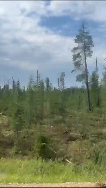 ветровал