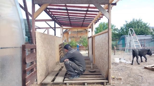 Строим гусятник на нашей ферме (1 серия)🪿