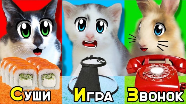 Выполняем ЗАДАНИЯ по АЛФАВИТУ Челлендж ! ЗВОНОК ГОВОРЯЩЕМУ БЕНУ от КОШКИ МУРКИ | А ну-ка давай-ка
