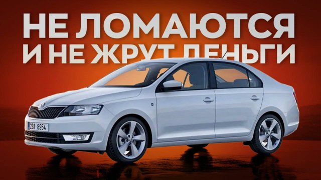 Это неубиваемые и недорогие в уходе автомобили! Выбираем лучший.