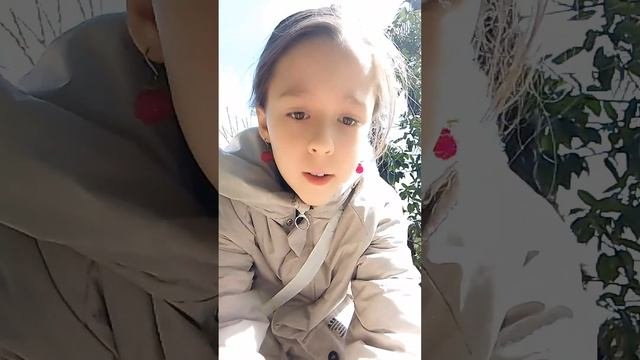 как приручить голубя