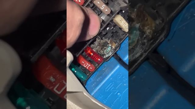 ПЛАВИТЬСЯ ПРЕДОХРАНИТЕЛЬ НА ЛОГАН 2 ПЕРЕКЛЮЧАТЕЛЬ НА БЛИЖНИЙ