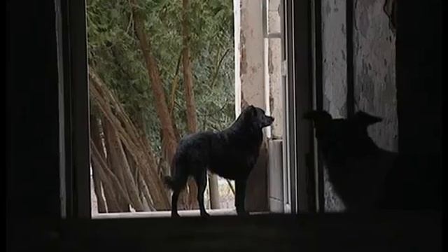 Интернат ~ Преданы и забыты