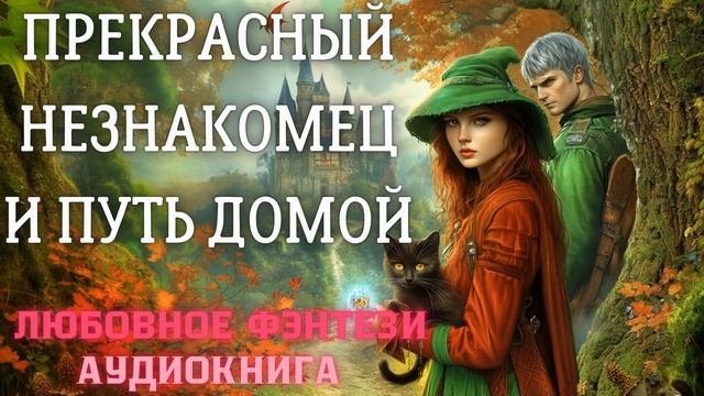 АУДИОКНИГА ЛЮБОВНОЕ ФЭНТЕЗИ: ПРЕКРАСНЫЙ НЕЗНАКОМЕЦ И ПУТЬ ДОМОЙ СЛУШАТЬ