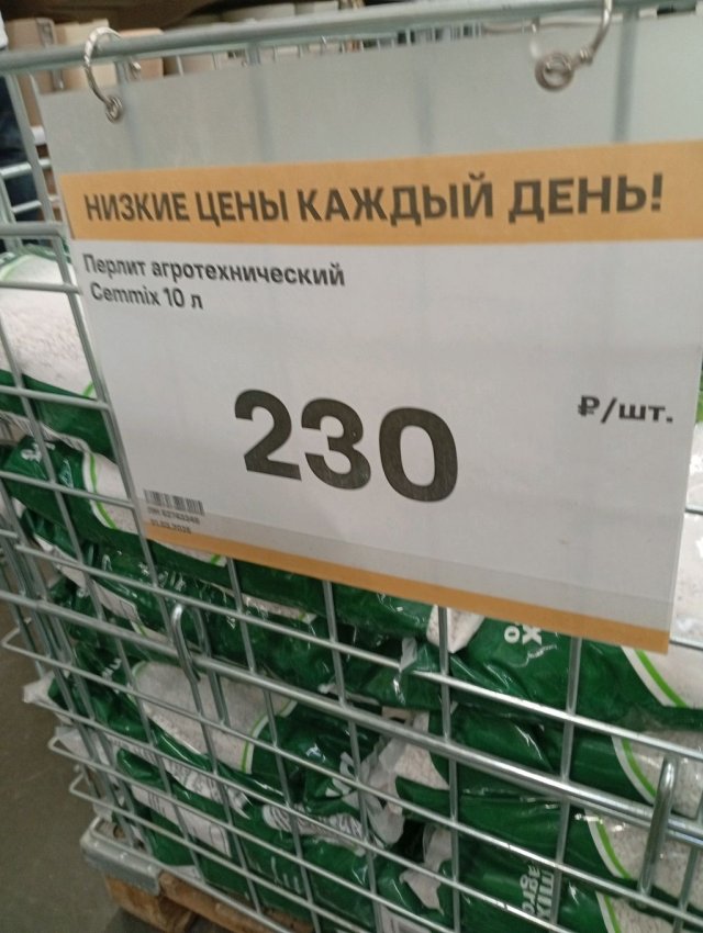 Bgzynt