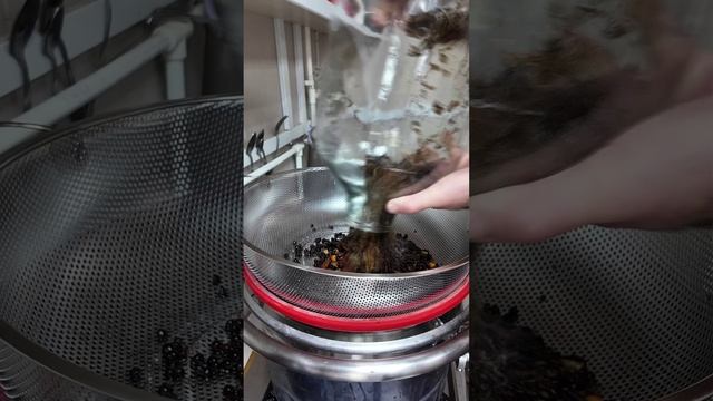 Домашний ДЖИН