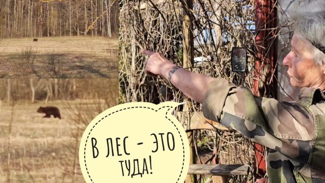 Всамделишный медведь встретился маме из @Izbushka  рядом с деревней и её домом! Она очень рада