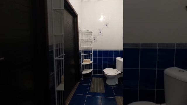video5197536909269694230