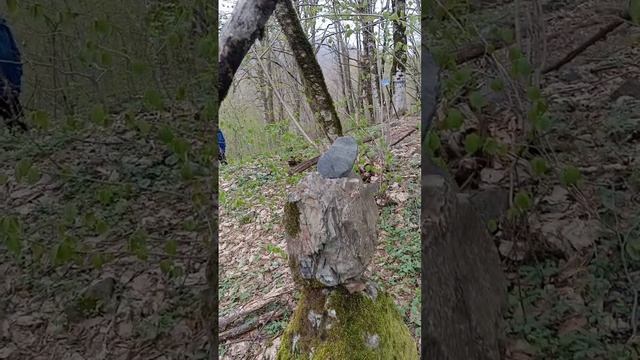 путь к месту силы ч2каменный цветок