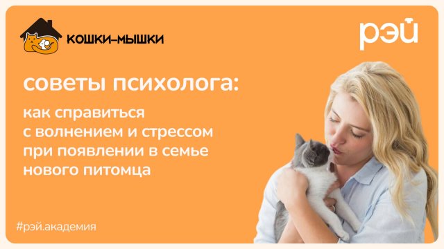 Советы психолога: как справиться с волнением и стрессом при появлении в доме нового питомца