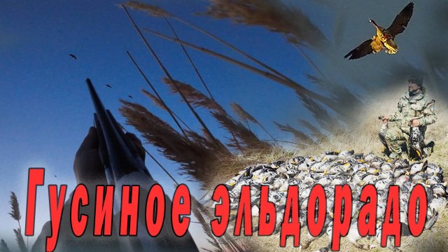 Гусиное эльдорадо. Лучшая охота на гуся. часть 1