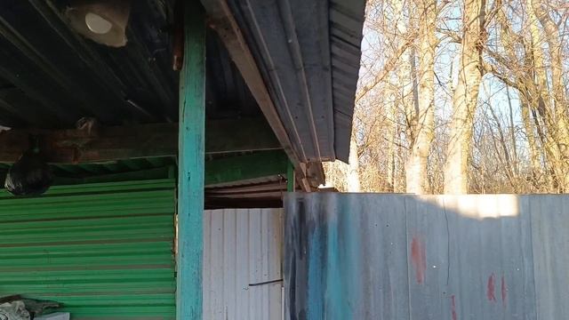 Уехали в Белгород. Будем делать ремонт. Обзор дома и планы на будущее.