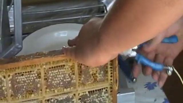 Технология Производства Секционного Сотового Меда