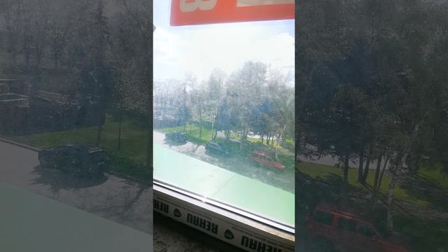 VID_20250416_144615