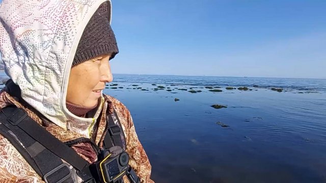 Жареная ламинария и Молочные берега.