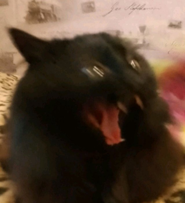 📽️