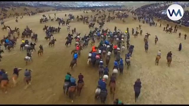 ULOQ KO'PKARI | УЛОК КУПКАРИ (2-QSIM)