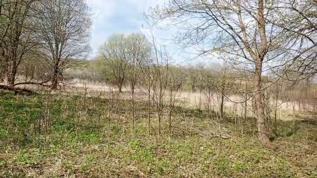 деревенские будни