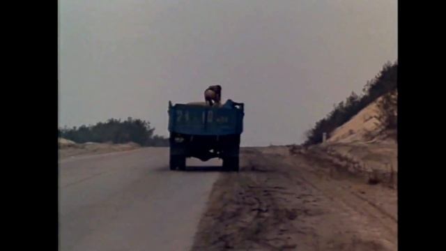 Грачи, 1982 HD