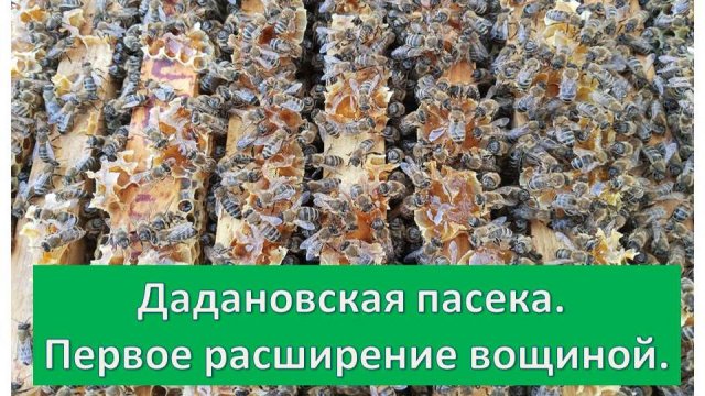 22.04.25. Дадановская пасека. Первое расширение вощиной.