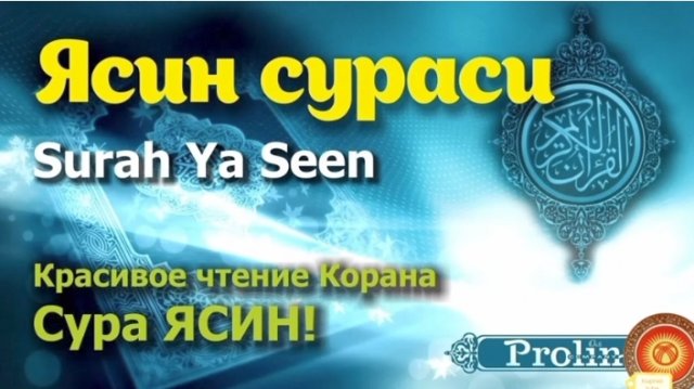 ЯСИН💥