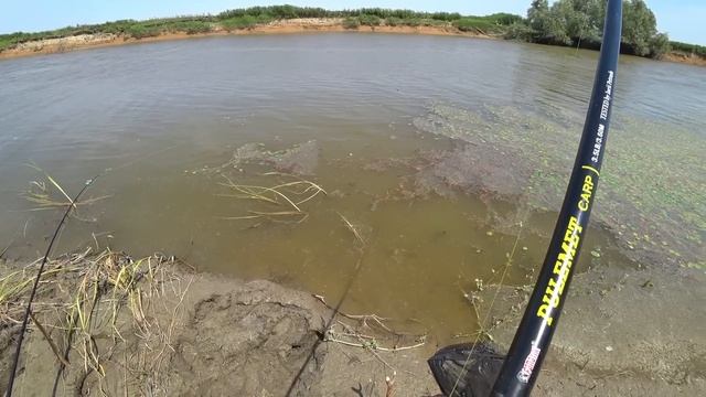 РЫБАЛКА НА САЗАНА. Закидушки на современный лад.