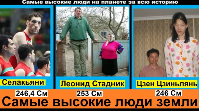 Самые высокие люди на планете за всю историю