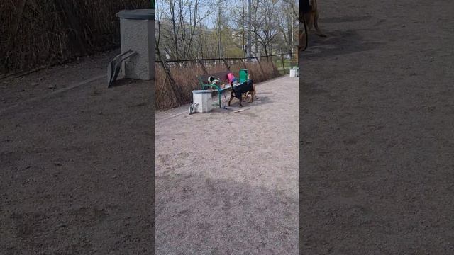1000073375.mp4