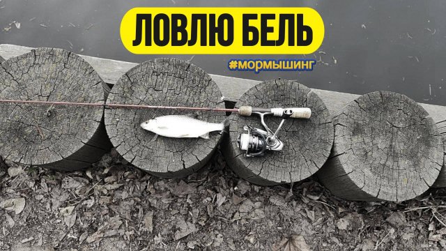 #мормышинг | Бель на мормышку |