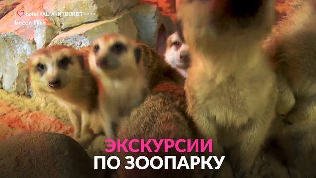 Мир ярких событий в отеле «Ялта-Интурист»