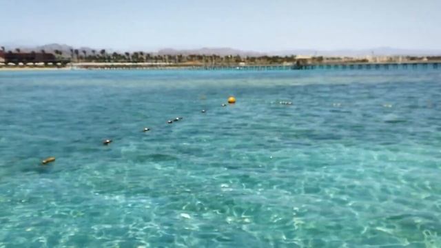 Обзор отеля Coral Sea Holiday Resort and Aqua Park 5* в Шарм-эш-Шейхе, район Набк-Бэй, Египет.