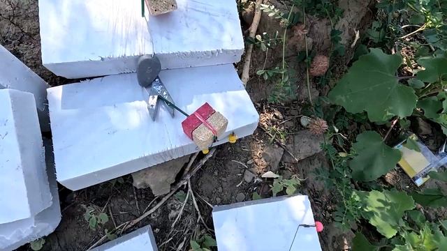 Куда Поехать за САЗАНОМ в Астрахани? Обзор точки: село Новоурусовка, река Бузан