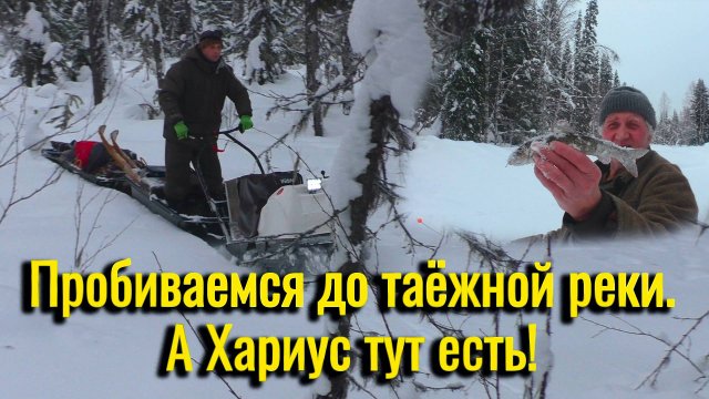 Пробиваемся до таёжной реки на мотособаке. Первая рыбалка на хариуса в 2025 г.А хариус то тут есть!