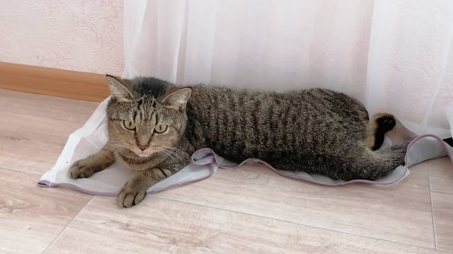 Что случилось??🙀🙀