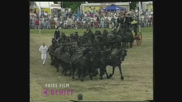 friese_horses