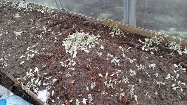 АПРЕЛЬСКИЕ ШУТКИ.