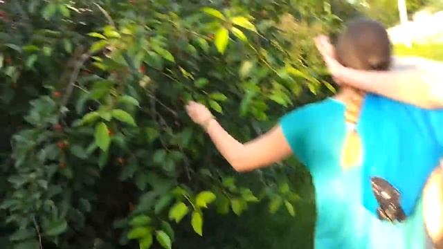 3 богатыря на дальних берегах)